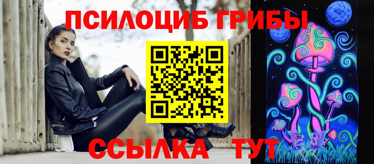 где можно купить   Вход с VPN  Пушкино  Галлюциногенные грибы Psilocybine cubensis 